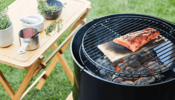 Barbecue met rookplank Barbecook en zalm